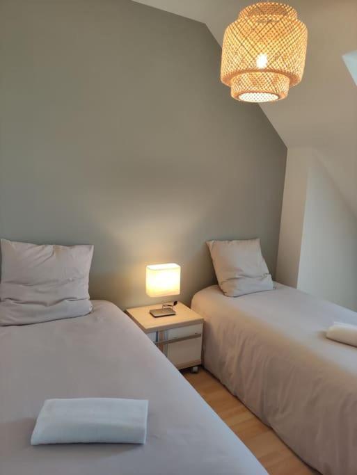 Superbe Duplex « Le Grevy » Apartment Dole Luaran gambar